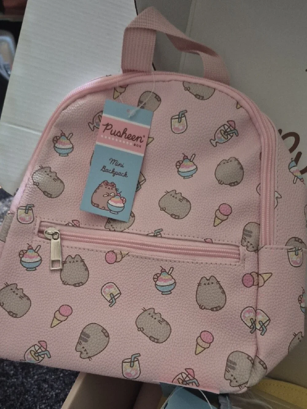 Pusheen 2026 summer